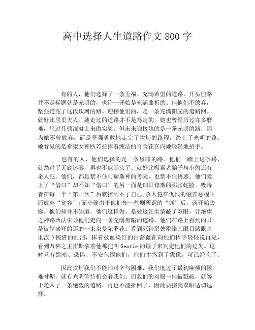 高中选择人生道路作文800字