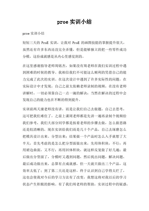 proe实训小结