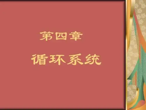 循环系统