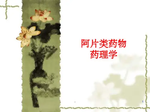 阿片类药物药理学 ppt