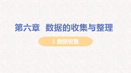 北师大版七年级上册数学课件第六章  数据的收集与整理