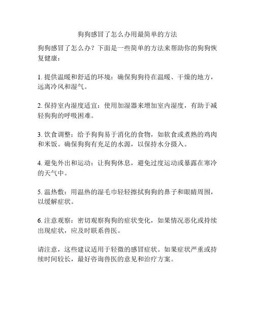 狗狗感冒了怎么办用最简单的方法