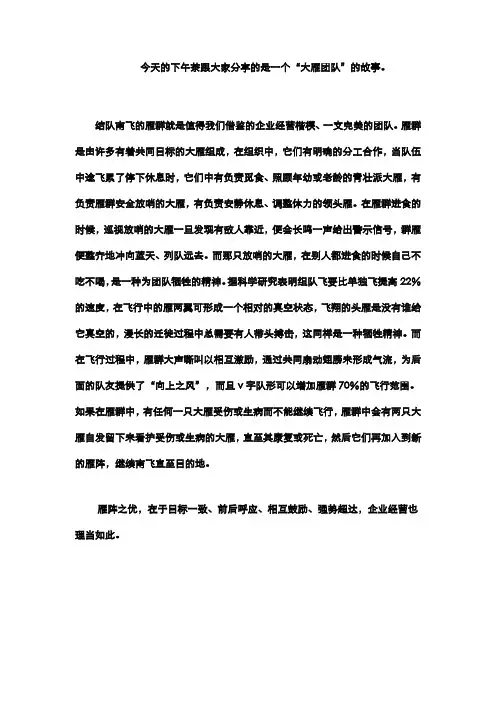 大雁精神