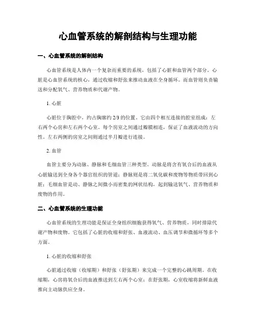 心血管系统的解剖结构与生理功能