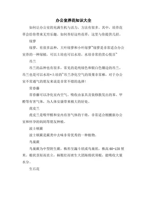 办公室养花知识大全