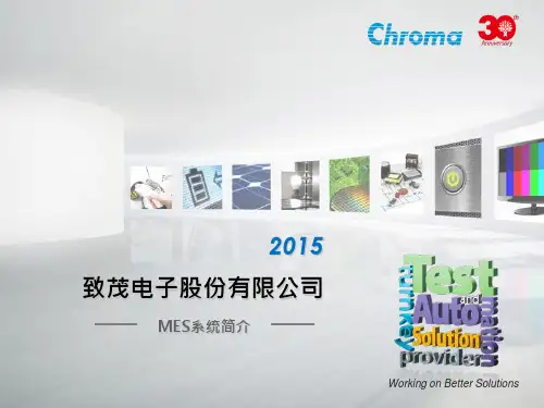 2015MES Standard
