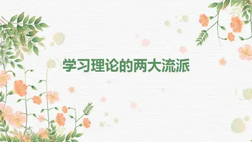 学习理论的两大流派