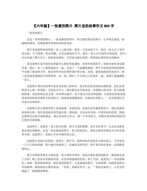 【六年级】一张爱的照片 照片里的故事作文800字