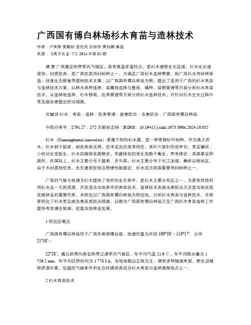 广西国有博白林场杉木育苗与造林技术