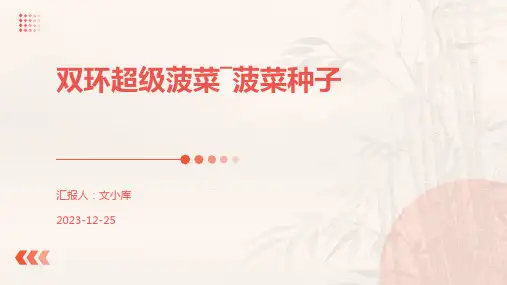 双环超级菠菜―菠菜种子