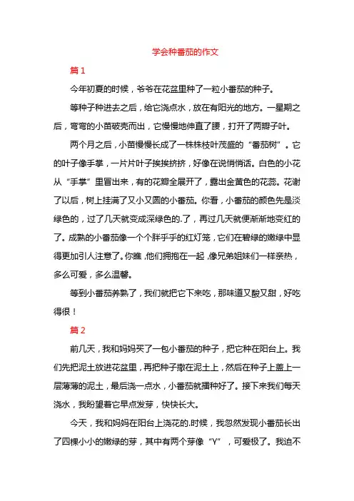 学会种番茄的作文
