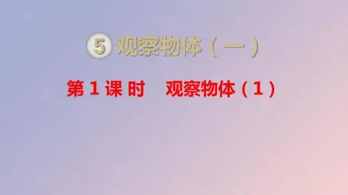 二年级数学上册第5单元观察物体(一)第1课时观察物体(1)课件新人教版