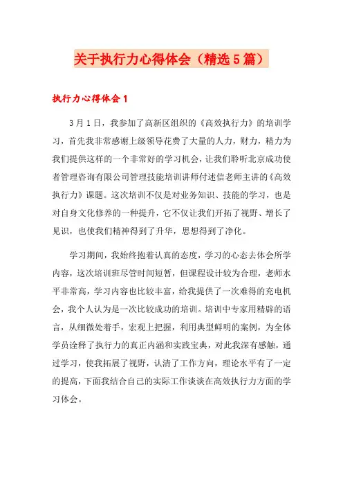 关于执行力心得体会(精选5篇)
