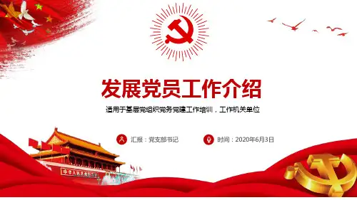 2020年党支部发展党员工作计划PPT