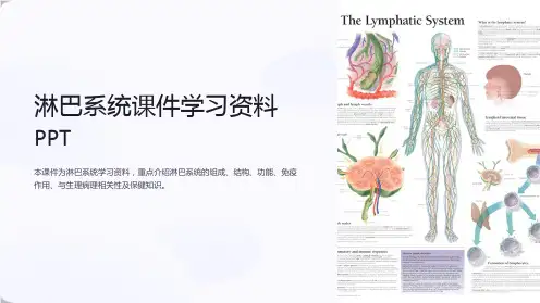 淋巴系统课件学习资料PPT