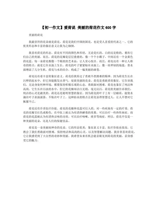 【初一作文】爱荷说 美丽的荷花作文600字