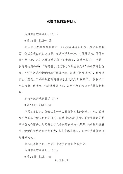 水培洋葱的观察日记