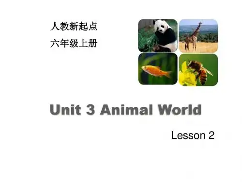 人教版(新起点)六年级英语上册Unit 3《Animal World》(Lesson 2)课件