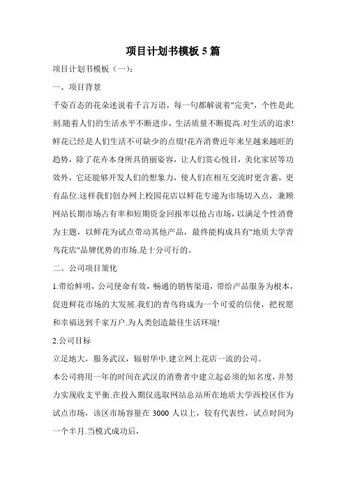 项目计划书模板5篇.doc