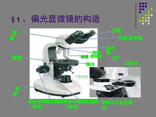 偏光显微镜具体操作过程