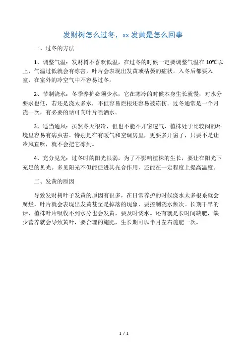 发财树怎么过冬,叶子发黄是怎么回事