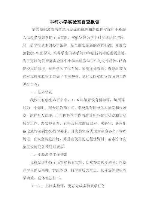 小学实验室自查报告