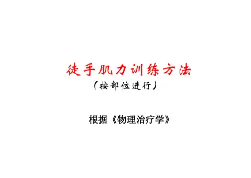 肌力训练方法(按部位)参考