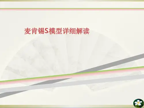 麦肯锡S模型详细解读