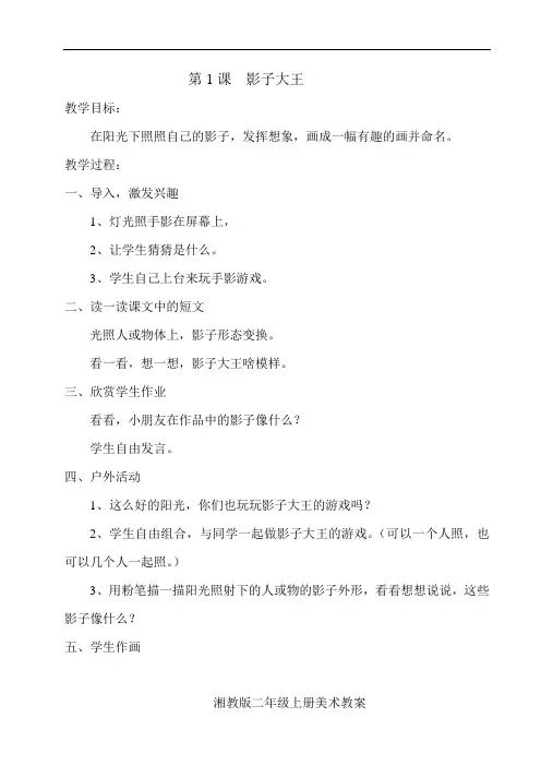 湖南湘教版二年级上册美术教案