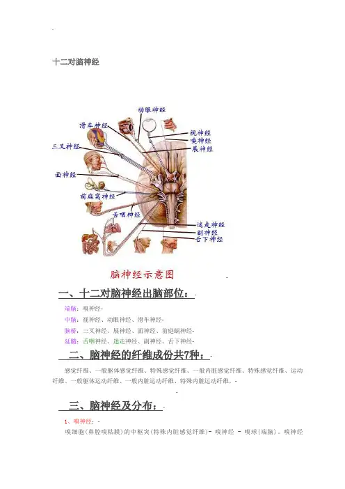 十二对脑神经图文解析