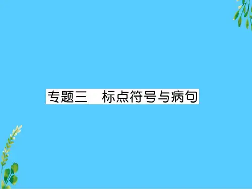 2020春人教部编版七年级下册语文(江西)习题课件：专题3  标点符号与病句(共28张PPT)