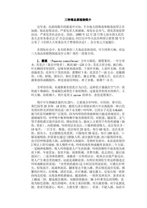 三种毒品原植物简介