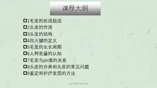 毛发生理学和基本 知识课件