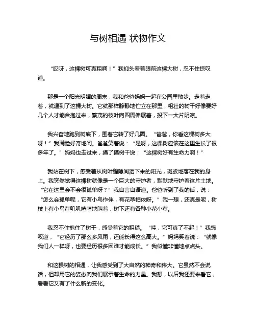 与树相遇 状物作文