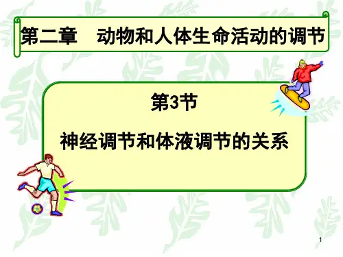 神经调节和体液调节的关系ppt课件