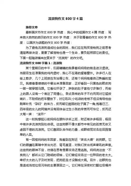 流浪狗作文800字4篇