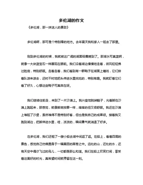 多伦湖的作文