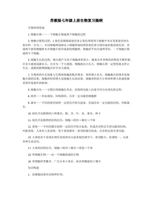 苏教版七年级上册生物复习提纲