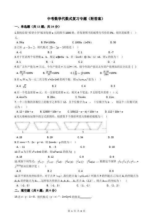 中考数学代数式复习专题(附答案)