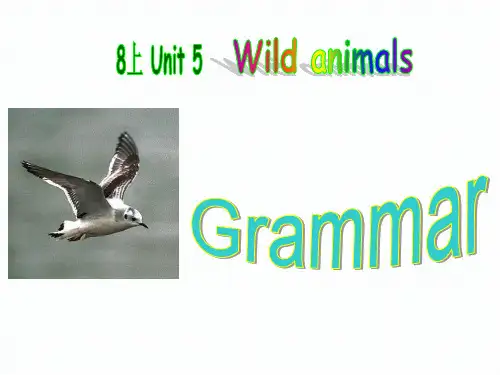 江苏省永丰初级中学牛津译林版八年级上册英语课件：Unit5Grammar(共25张PPT)