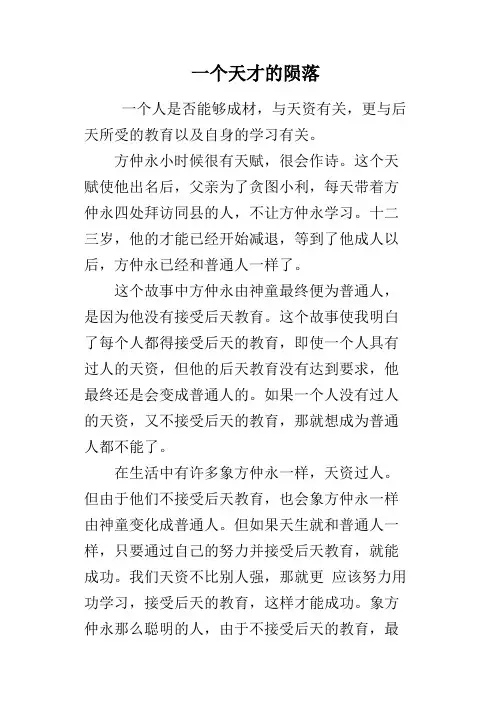 一个天才的陨落