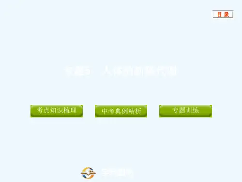 九上第四章人体的新陈代谢
