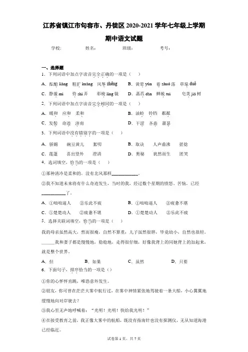 江苏省镇江市句容市、丹徒区2020-2021学年七年级上学期期中语文试题(含答案解析)