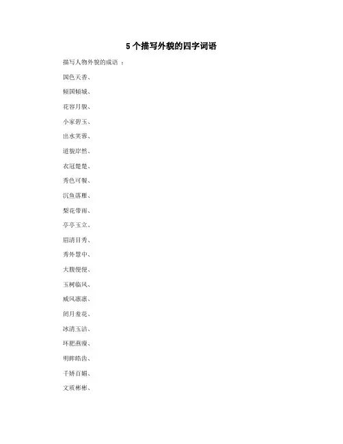 5个描写外貌的四字词语