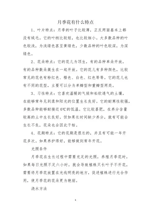月季花有什么特点