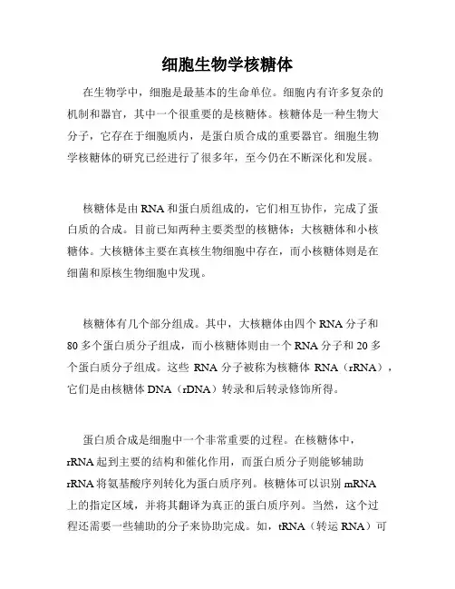 细胞生物学核糖体