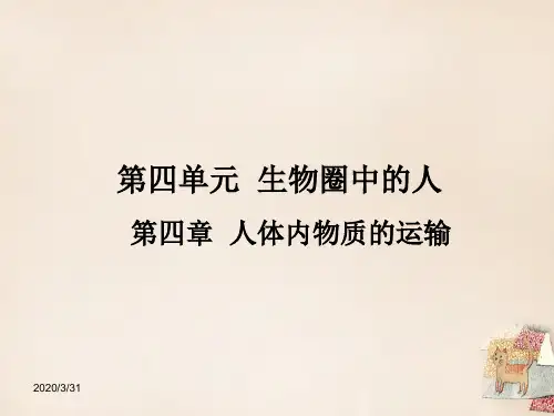 人教版初一下册生物第4单元第4章人体内物质的运输PPT课件(2)