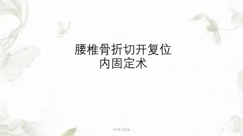 腰椎骨折切开复位内固定术最新优质ppt课件