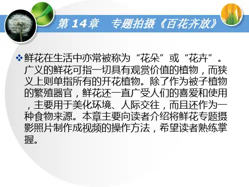 第14章  专题拍摄——《百花齐放》