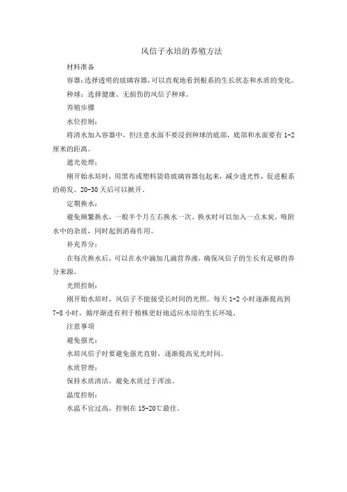 风信子水培的养殖方法